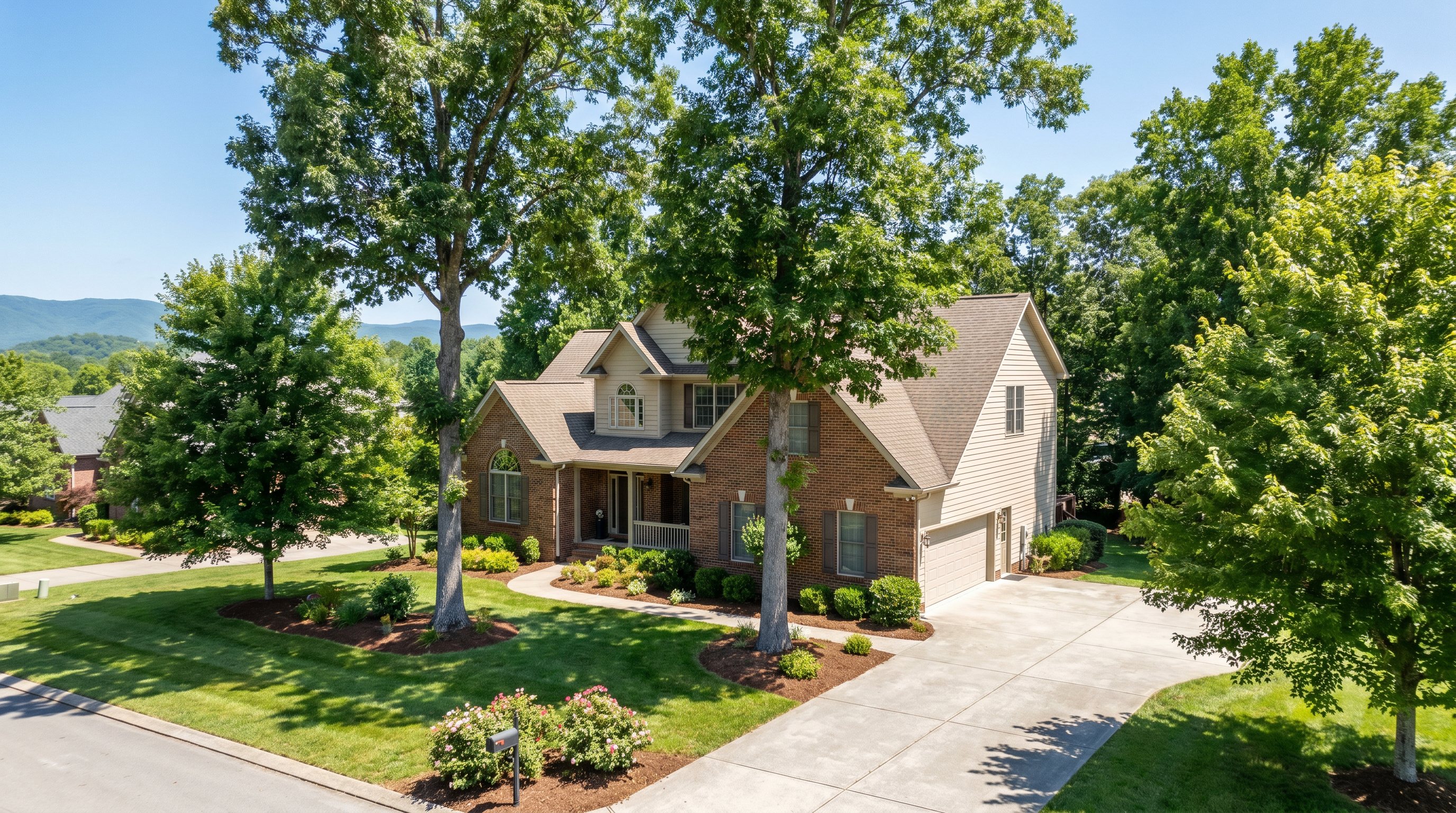Tree service crew working on a property in Farragut TN — professional tree removal and trimming